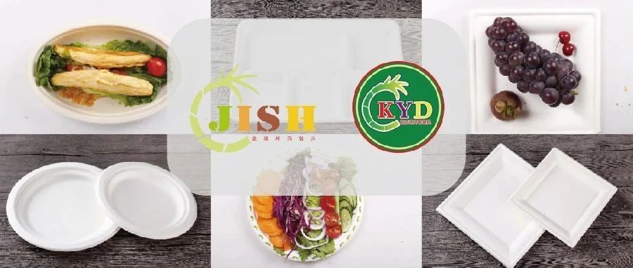 江蘇金晟×安徽凱彥達(dá)約您IPFM現(xiàn)場見：開創(chuàng)綠色餐飲新紀(jì)元